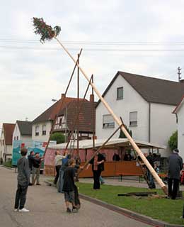 Der Maibaum wird aufgestellt