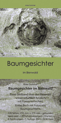 Baumgesichter im Bienwald
