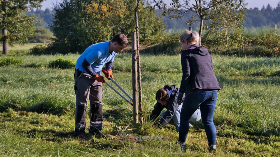 VR-Bank Südpfalz, Aktivtag in Büchelberg