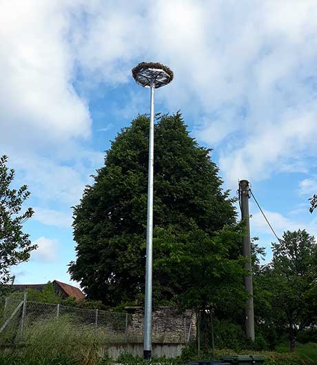 Storchennest zum Bezug bereit