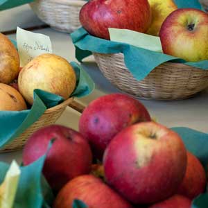 Fotos Südpfälzer Obstschau - klick hier!